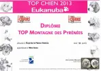 Diplôme Top Montagne des Pyrénées 2013 de Floyd