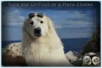 Floyd de la Plaine d’Astrée