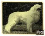 Floyd de la Plaine d’Astrée