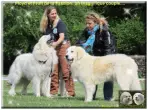 Floyd et Fruit de la Passion, un magnifique couple