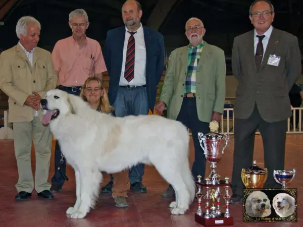 Floyd, Champion de France 2013, Meilleur de Race au Championnat de France.