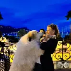Chien Patou - Monet de Bigerionnes dit Fun de la Plaine d'Astrée avec son maitre star TV
