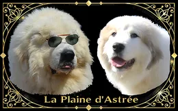 La Plaine d'Astrée