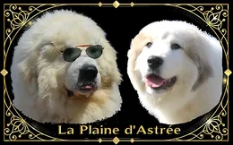 La Plaine d'Astrée