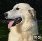 Valfleurie, photo 2