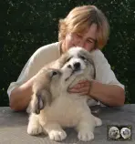 Vangelis et Valse chiots