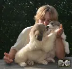 Vangelis et Valse chiots